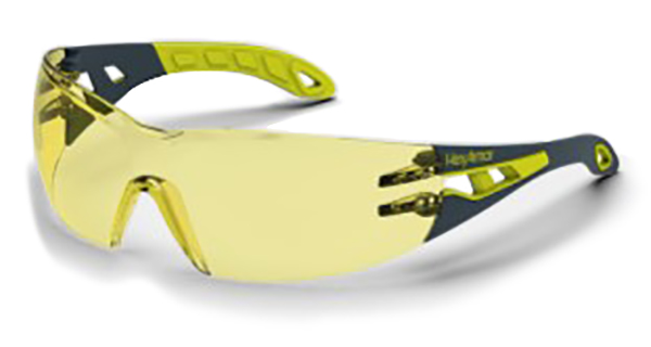 MX200 Safety Glasses